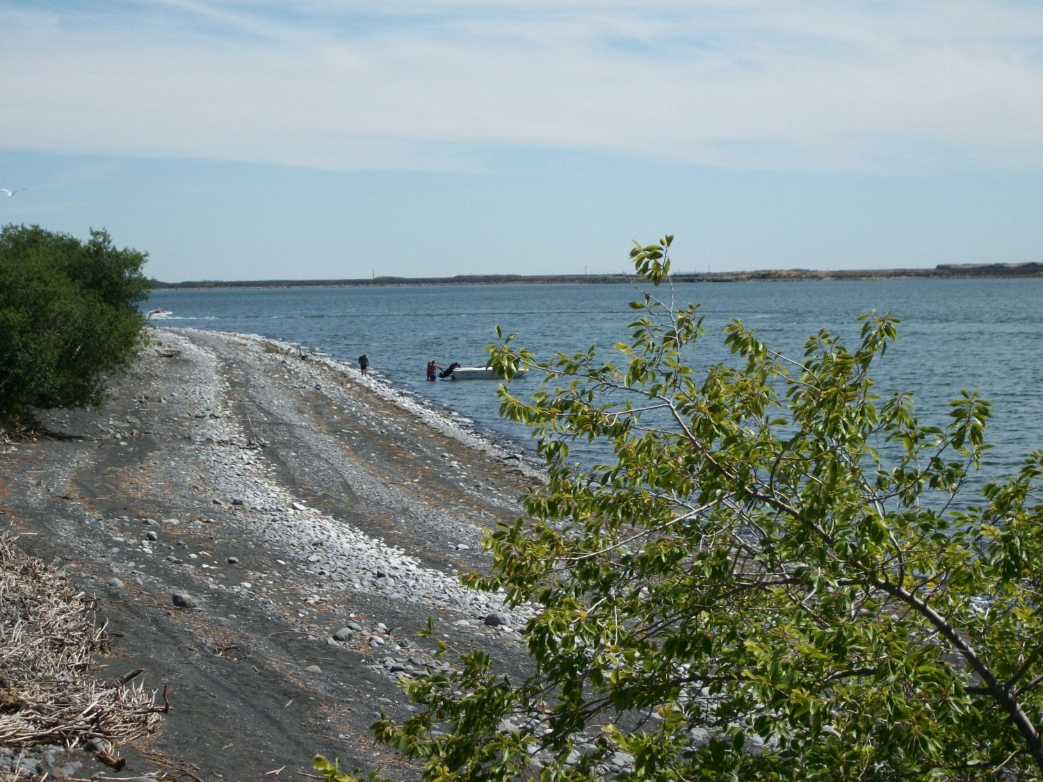 Cock runs his life #UwI0ziHt